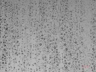 Water drops