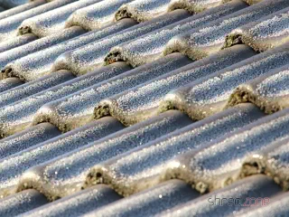 Frost